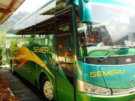 Rental Mobil Pariwisata Jakarta on Sewa Bis Pariwisata  Semeru Pariwisata
